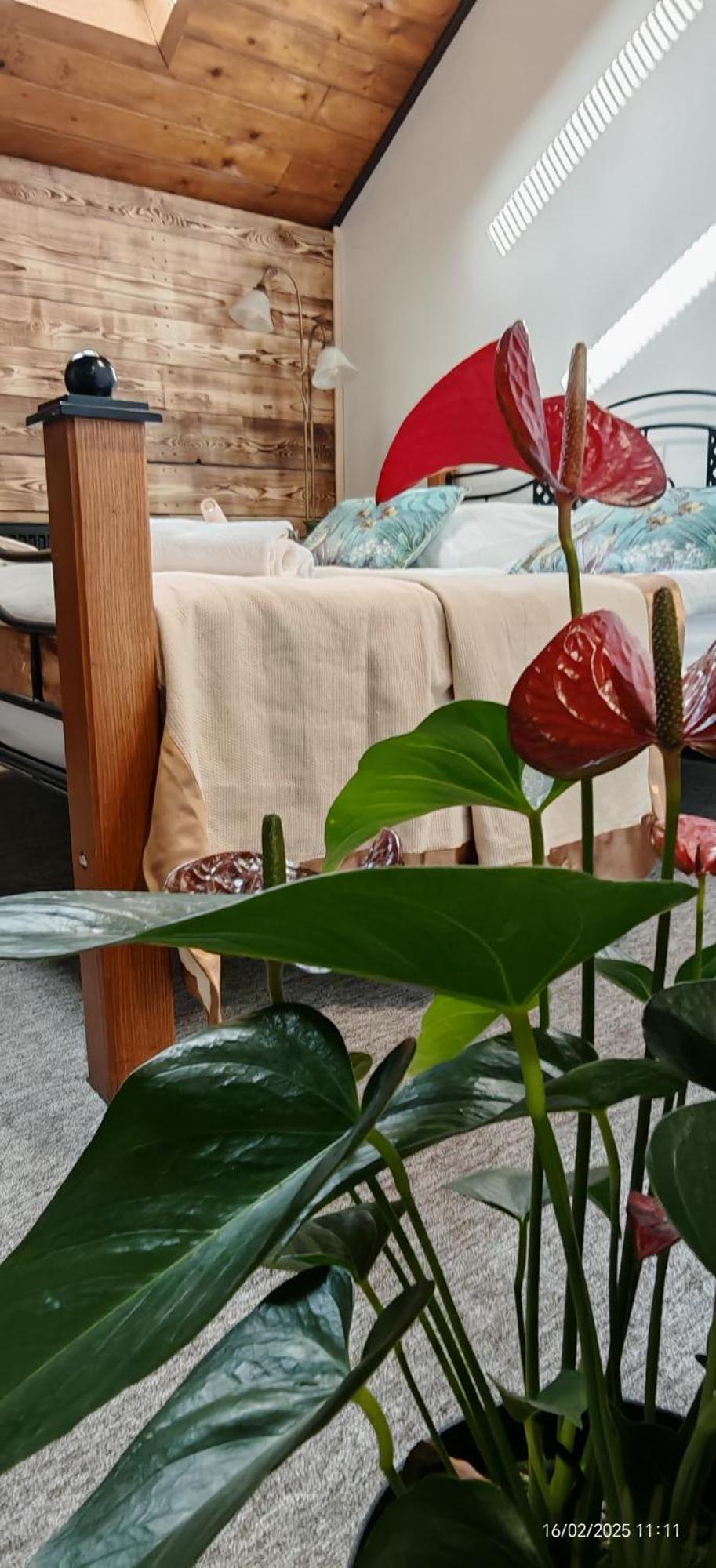 Hotel Plzensky Dvur Frýdek-Místek Esterno foto