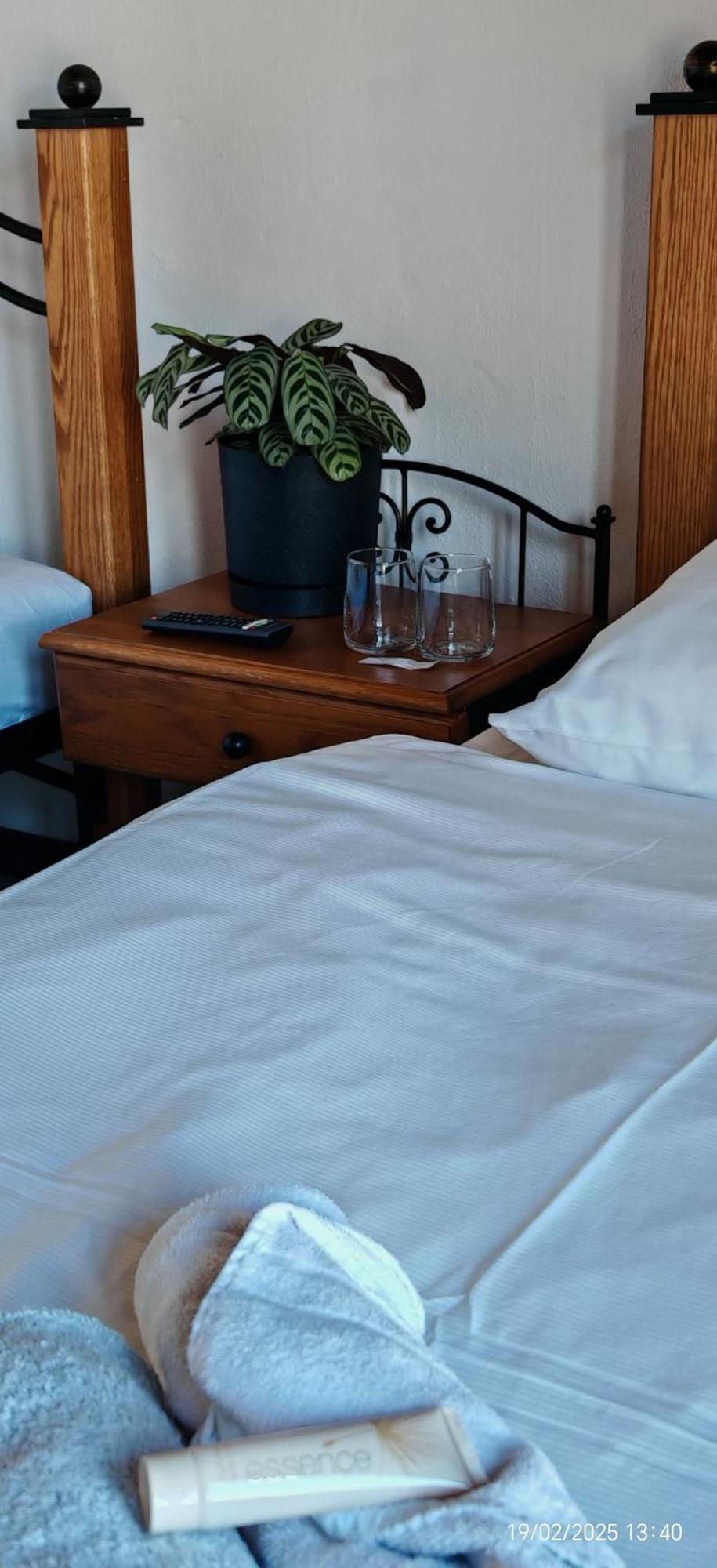 Hotel Plzensky Dvur Frýdek-Místek Esterno foto