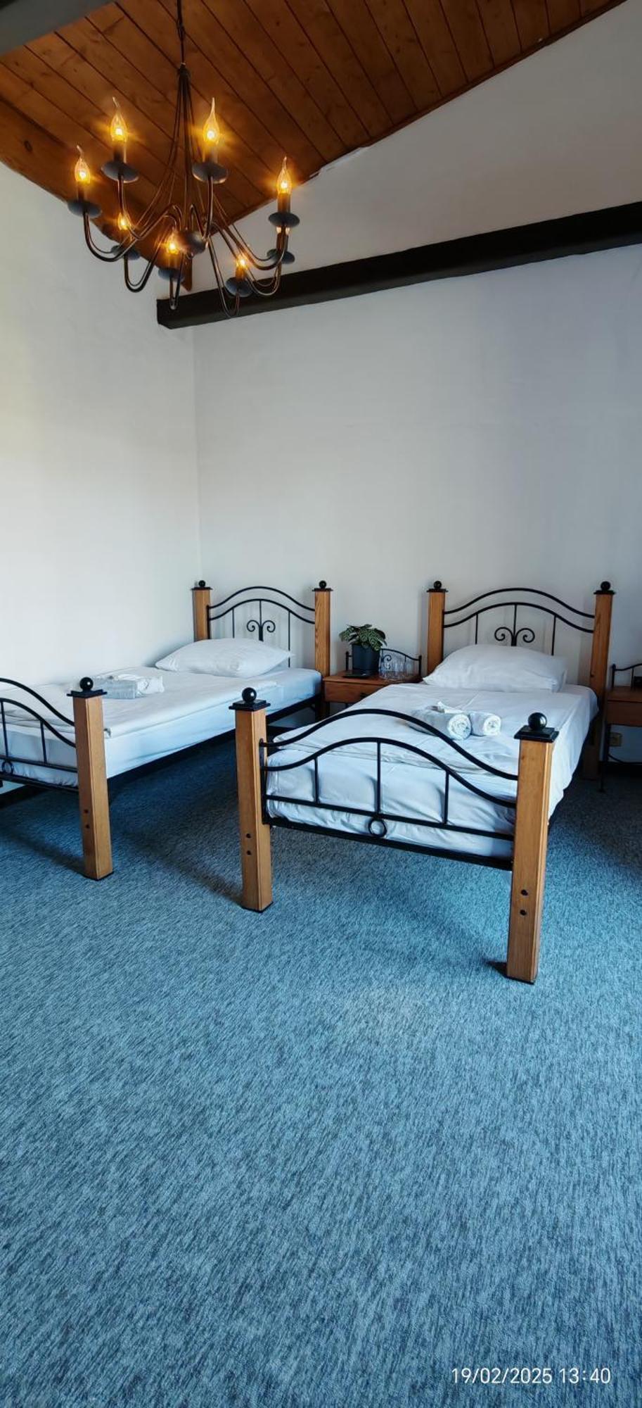 Hotel Plzensky Dvur Frýdek-Místek Esterno foto