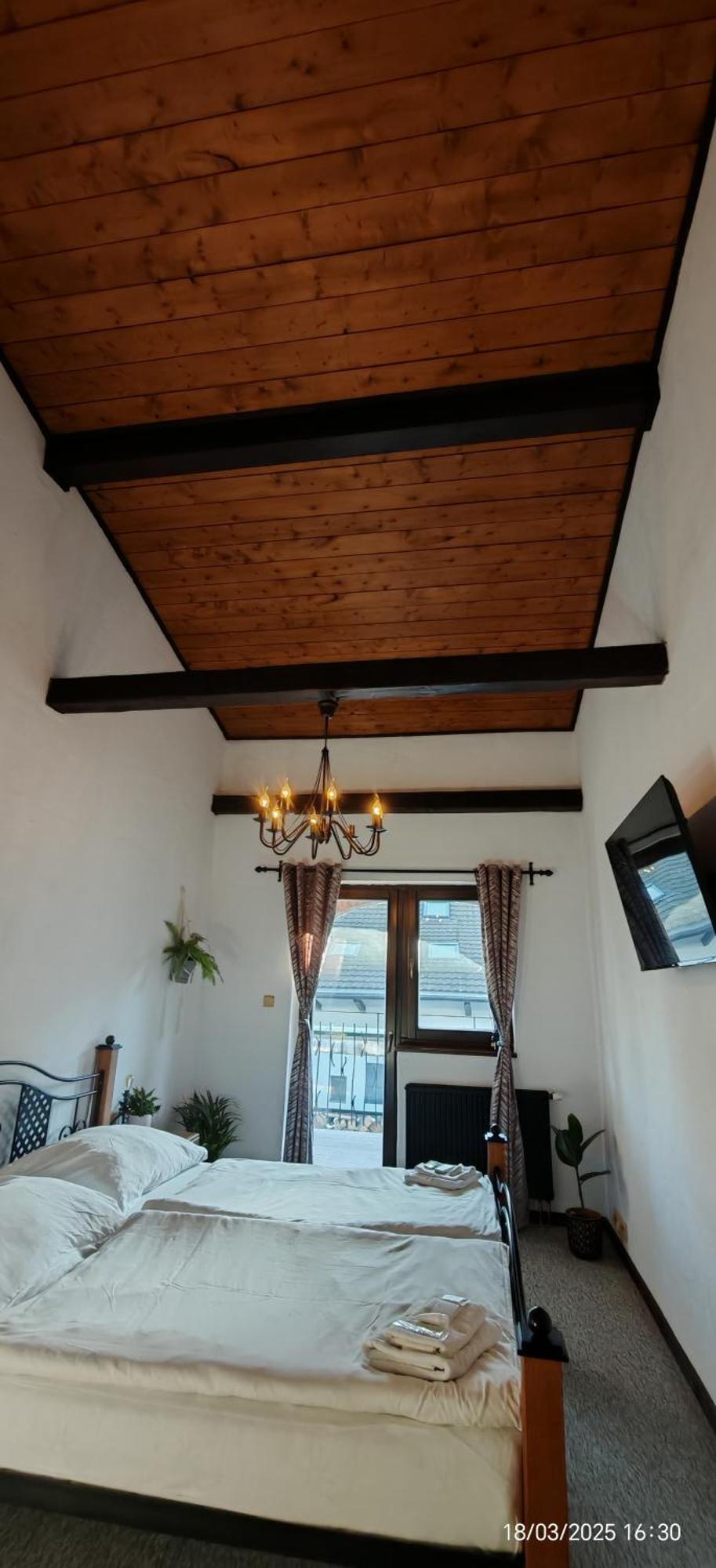Hotel Plzensky Dvur Frýdek-Místek Esterno foto